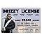 Signs 4 Fun Parody Driver’s License | Drake ID | Fake ID Novelty Card | Collectible Trading Card Driver’s License | Novelty Gift for Holidays | Made in the USA