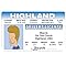 Signs 4 Fun Parody Driver’s License | WY - Beavis ID | Fake ID Novelty Card | Collectible Trading Card Driver’s License | Novelty Gift for Holidays | Made in The USA
