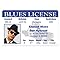 Signs 4 Fun Parody Driver’s License | Elwood Blues aka Dan Ackroyd ID | Fake ID Novelty Card | Collectible Trading Card Driver’s License | Novelty Gift for Holidays | Made in the USA