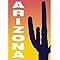 Signs 4 Fun STSAZ03 AZ Cactus Sm Sticker, Blue