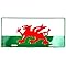 Signs 4 Fun SL2381 Wales Flag License Plate, Green