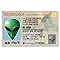 Signs 4 Fun Parody Driver’s License | Nebraska Alien ID | Fake ID Novelty Card | Collectible Trading Card Driver’s License | Novelty Gift for Holidays | Made in The USA