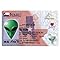 Signs 4 Fun Parody Driver’s License | Texas Alien ID