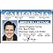 Signs 4 Fun Parody ID | Mask Driver’s License | Fake ID Novelty Card | Collectible Trading Card Driver’s License | Novelty Gift for Holidays | Made in The USA