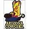 Signs 4 Fun STKAZ62 Arizona Cowgirl Lg Sticker, Yellow