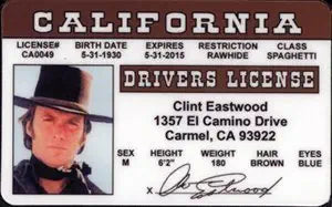 Signs 4 Fun Parody Driver’s License | Eastwood ID | Fake ID Novelty Card | Collectible Trading Card Driver’s License | Novelty Gift for Holidays | Made in The USA