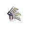Signs 4 Fun bA1 Gag Gifts - Fun McLovin Joke License ID Card 3 Pack - Funny Gag Gift Prank - McLovin ID Cards for Costume Props