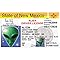 Signs 4 Fun Parody Driver’s License | New Mexico Alien ID