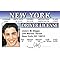 Signs 4 Fun Parody Driver’s License | Jason Biggs ID | Fake ID Novelty Card | Collectible Trading Card Driver’s License | Novelty Gift for Holidays | Made in The USA