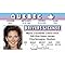 Signs 4 Fun Parody Driver’s License | Celine ID | Fake ID Novelty Card | Collectible Trading Card Driver’s License | Novelty Gift for Holidays | Made in The USA