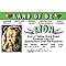 Signs 4 Fun Parody Driver’s License | Land of Oz - Lion ID | Fake ID Novelty Card | Collectible Trading Card Driver’s License | Novelty Gift for Holidays | Made in The USA