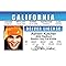 Signs 4 Fun Parody ID | Ashton Driver’s License | Fake ID Novelty Card | Collectible Trading Card Driver’s License | Novelty Gift for Holidays | Made in The USA