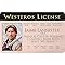 Signs 4 Fun Parody Driver’s License | GOT - Jaime ID | Fake ID Novelty Card | Collectible Trading Card Driver’s License | Novelty Gift for Holidays | Made in The USA