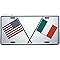 Signs 4 Fun Parody License Plate | US & Irish Flags | 12 x 6 Decorative License Plate | Decoration Plate for Vehicle/Wall | Man Cave Decorations | Made in The USA