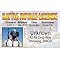 Signs 4 Fun Parody Driver’s License | Battle Royale ID | Fake ID Novelty Card | Collectible Trading Card Driver’s License | Novelty Gift for Holidays | Made in The USA