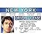 Signs 4 Fun Parody Driver’s License | Pacino ID | Fake ID Novelty Card | Collectible Trading Card Driver’s License | Novelty Gift for Holidays | Made in The USA