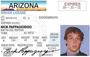 Signs 4 Fun Parody ID | Nick Pappageorgio Driver’s License | Fake ID Novelty Card | Collectible Trading Card Driver’s License | Novelty Gift for Holidays | Made in the USA