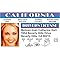 Signs 4 Fun Parody ID | Sabrina Driver’s License | Fake ID Novelty Card | Collectible Trading Card Driver’s License | Novelty Gift for Holidays | Made in The USA