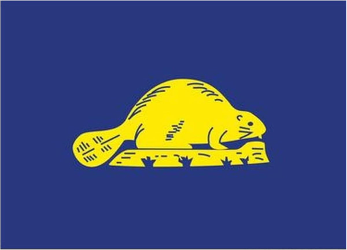 Signs 4 Fun Magnet Oregon Flag Reversed Funny Magnet - 3.5 x 2.5 Easy Remove Fridge Locker Magnet - Magnet for Gifts Decor - Made in USA