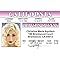 Signs 4 Fun Parody Driver’s License | Christina ID | Fake ID Novelty Card | Collectible Trading Card Driver’s License | Novelty Gift for Holidays | Made in The USA