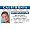 Signs 4 Fun Parody ID | Ben Afleck Driver’s License | Fake ID Novelty Card | Collectible Trading Card Driver’s License | Novelty Gift for Holidays | Made in The USA
