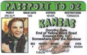 Signs 4 Fun Parody ID | Dorothy of Oz Driver’s License | Fake ID Novelty Card | Collectible Trading Card Driver’s License | Novelty Gift for Holidays | Made in The USA