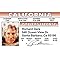 Signs 4 Fun Parody Driver’s License | R Gere ID