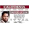 Signs 4 Fun Parody ID | Denzel Driver’s License | Fake ID Novelty Card | Collectible Trading Card Driver’s License | Novelty Gift for Holidays | Made in The USA
