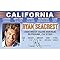 Signs 4 Fun Parody Driver’s License | Seacrest ID | Fake ID Novelty Card | Collectible Trading Card Driver’s License | Novelty Gift for Holidays | Made in The USA