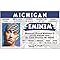 Signs 4 Fun NROID2 Slim Shady Driver's License