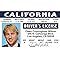 Signs 4 Fun Parody Driver’s License | Owen W. ID | Fake ID Novelty Card | Collectible Trading Card Driver’s License | Novelty Gift for Holidays | Made in The USA