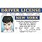 Signs 4 Fun Parody Driver’s License | A. Hepburn ID | Fake ID Novelty Card | Collectible Trading Card Driver’s License | Novelty Gift for Holidays | Made in the USA