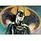 Signs 4 Fun Magnet – Batman Funny Magnet