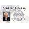 Signs 4 Fun Parody ID | Senator Bernie Sanders ID | Fake ID Novelty Card | Collectible Trading Card Driver’s License | Novelty Gift for Holidays | Made in The USA