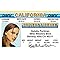 Signs 4 Fun Parody Driver’s License | CA - Natalie ID | Fake ID Novelty Card | Collectible Trading Card Driver’s License | Novelty Gift for Holidays | Made in The USA