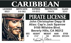 Signs 4 Fun Parody Driver’s License | Pirate ID | Fake ID Novelty Card | Collectible Trading Card Driver’s License | Novelty Gift for Holidays | Made in The USA