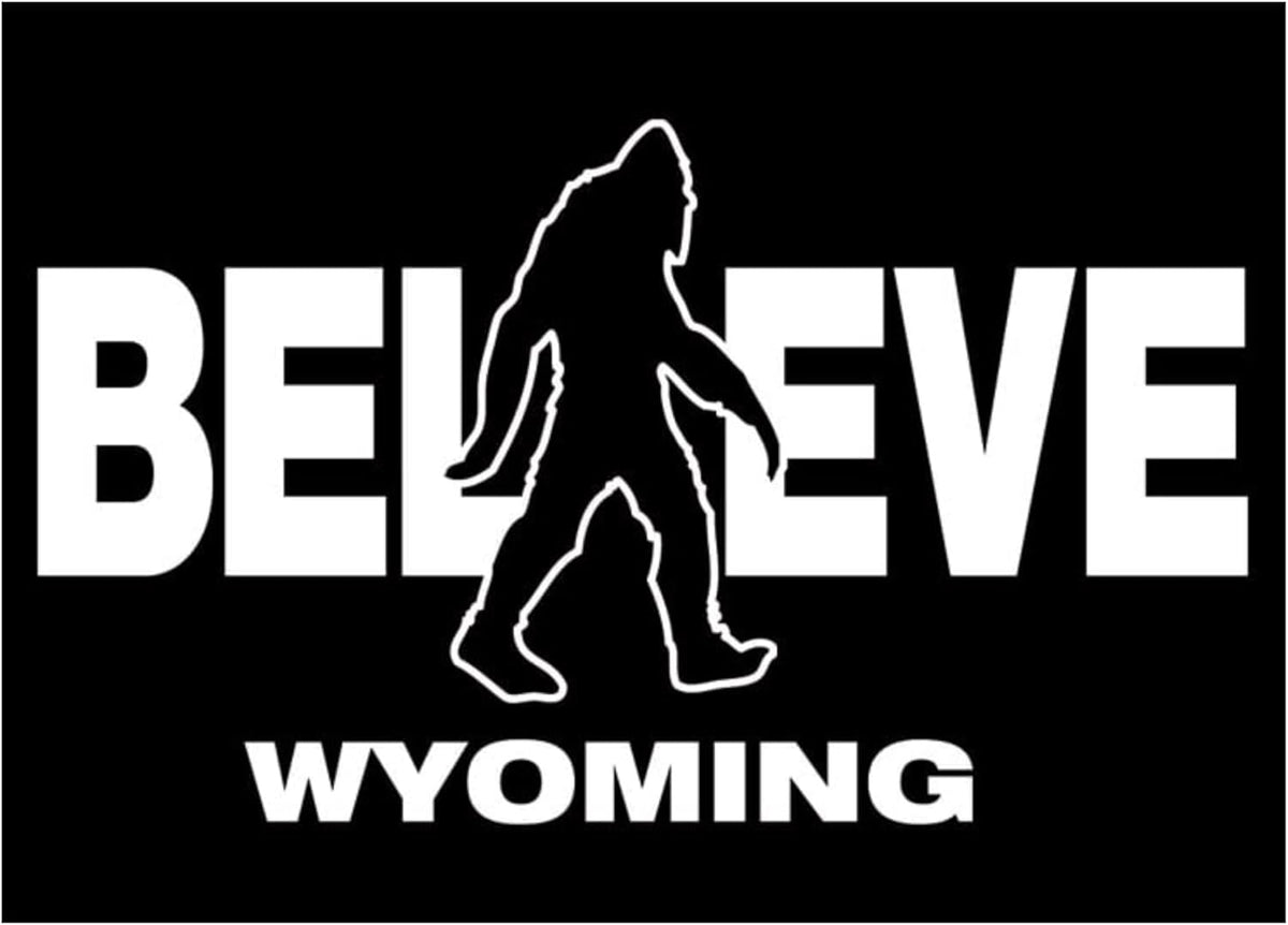 Signs 4 Fun Magnet Big Foot Believe Wyoming Funny Magnet - 3.5 x 2.5 Easy Remove Fridge Locker Magnet - Magnet for Gifts Decor - Made in USA