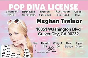 Signs 4 Fun Parody ID | Meghan Trainor Driver’s License | Fake ID Novelty Card | Collectible Trading Card Driver’s License | Novelty Gift for Holidays | Made in The USA