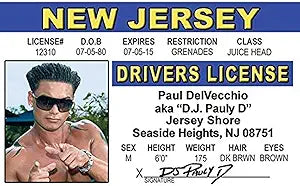 Signs 4 Fun Parody ID | DJ Pauly D Driver’s License | Fake ID Novelty Card | Collectible Trading Card Driver’s License | Novelty Gift for Holidays | Made in The USA White