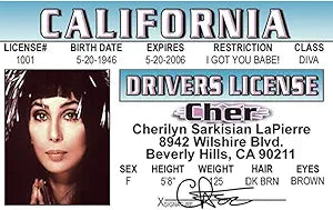 Signs 4 Fun Parody Driver’s License | Cher ID | Fake ID Novelty Card | Collectible Trading Card Driver’s License | Novelty Gift for Holidays | Made in the USA