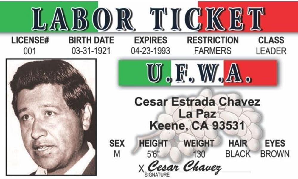 Signs 4 Fun Parody ID | Caeser Chavez Driver s License | Fake ID Novelty Card | Collectible Trading Card Driver s License | Novelty Gift for Holidays | Made in The USA