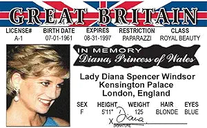 Signs 4 Fun Parody Driver’s License | Lady Di ID | Fake ID Novelty Card | Collectible Trading Card Driver’s License | Novelty Gift for Holidays | Made in The USA