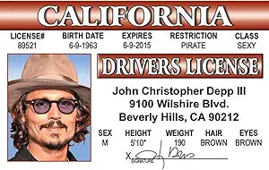 Signs 4 Fun Parody ID | Depp Driver’s License | Fake ID Novelty Card | Collectible Trading Card Driver’s License | Novelty Gift for Holidays | Made in The USA