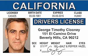 Signs 4 Fun Parody Driver’s License | CA - Clooney ID | Fake ID Novelty Card | Collectible Trading Card Driver’s License | Novelty Gift for Holidays | Made in The USA