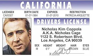 Signs 4 Fun Parody Driver’s License | Nick Cage ID | Fake ID Novelty Card | Collectible Trading Card Driver’s License | Novelty Gift for Holidays | Made in The USA