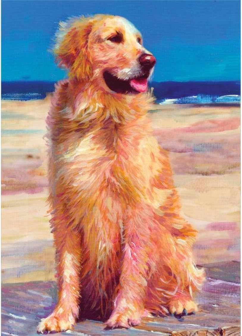 Signs 4 Fun Magnet Golden Retriever Boardwalk Funny Magnet - 3.5 x 2.5 Easy Remove Fridge Locker Magnet - Magnet for Gifts Decor - Made in USA
