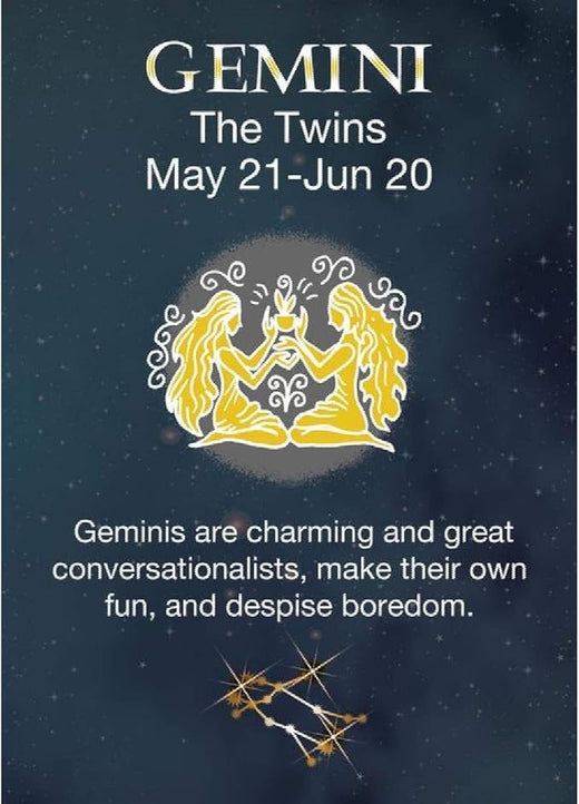 Signs 4 Fun Magnet – Gemini Zodiac Funny Magnet - 3.5” x 2.5” Easy Remove Fridge Locker Magnet