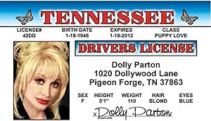 Signs 4 Fun Parody ID | Dolly Driver’s License | Fake ID Novelty Card | Collectible Trading Card Driver’s License | Novelty Gift for Holidays | Made in The USA