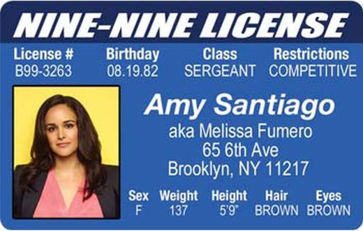 Signs 4 Fun Parody ID | A Santiago ID | Fake ID Novelty Card | Collectible Trading Card Driver s License | Novelty Gift for Holidays | Made in The USA