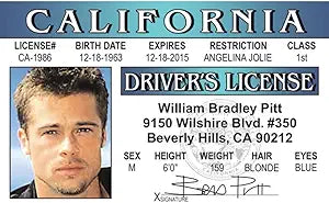 Signs 4 Fun Parody ID | B Pitt Driver’s License | Fake ID Novelty Card | Collectible Trading Card Driver’s License | Novelty Gift for Holidays | Made in The USA